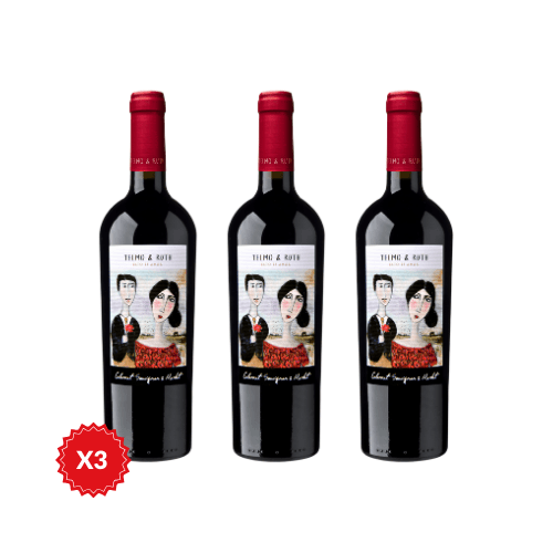 Telmo & Ruth X3 - Viceversa