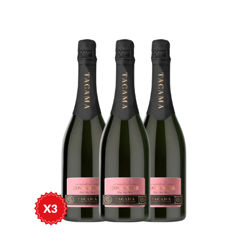 Espumante Rosa Salvage Extra Brut Rosé 750 ml - Viceversa